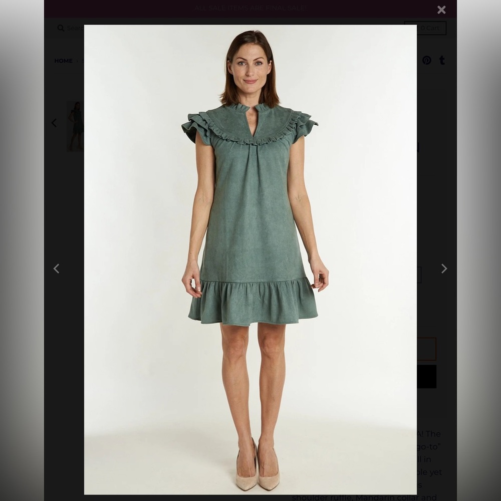 CK Bradley Silla dress. NWT. Retail 258